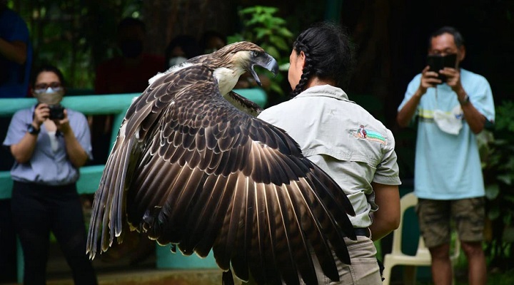 Philippine Eagle Center (1) Cape San Agustin