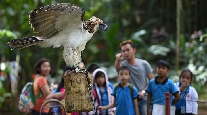 Philippine Eagle Center (5) Cape San Agustin